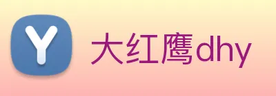 大红鹰dhy Logo